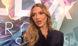 'Yenidoğan Çetesi' olayı: Hadise, devlete seslendi