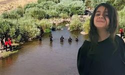 Narin cinayetinin nasıl profesyonelce işlendiği kanıtlandı!