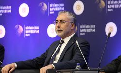 Emekliliği erteleyenlerin maaşı ne kadar düşecek? İşte Vedat Işıkhan'ın o önerisi