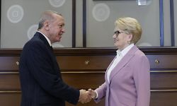 Meral Akşener'in danışmanı o iddialara yanıt verdi: Cumhurbaşkanı Erdoğan'ın yardımcısı olacağı iddia edilmişti