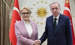 Meral Akşener cumhurbaşkanı yardımcısı mı olacak? "İYİ Partililer ile görüştüm" diyerek açıkladı