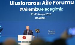 Cumhurbaşkanı Erdoğan'dan sitem: "Doğum oranlarının düşme sebebi ekonomik sorunlar değildir"