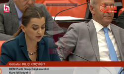 TBMM'de Kürtçe gerginliği: DEM Parti'li vekil konuşmasından sonra Kürtçe konuştu, mikrofonu kapatıldı