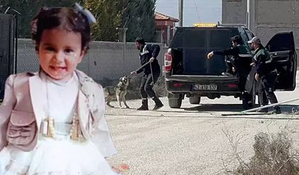 10 sokak köpeğinin saldırısında hayatını kaybetmişti! Rana'nın otopsi raporu çıktı