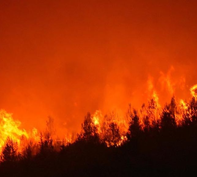 İletişim Başkanlığından açıklama: Son 10 günde çıkan 761 yangın kontrol altına alındı