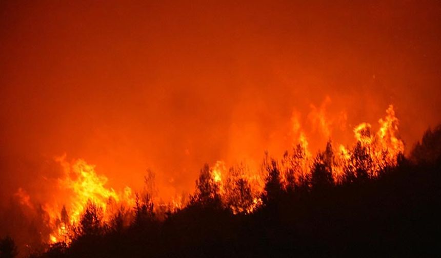 İletişim Başkanlığından açıklama: Son 10 günde çıkan 761 yangın kontrol altına alındı